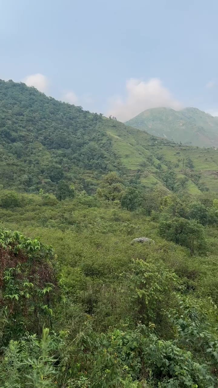The actual Ekant Villas site, rolling forested hills